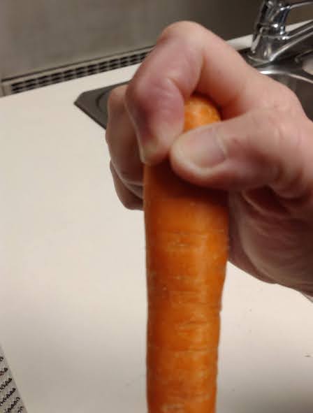 hand holding carrot at end